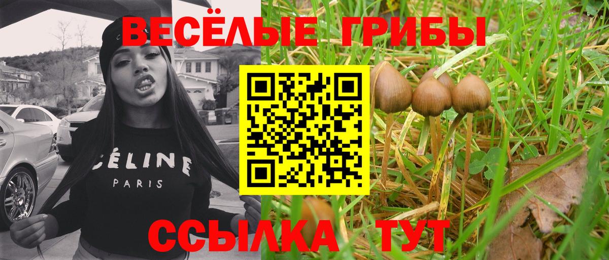 Галлюциногенные грибы прущие грибы Ивантеевка